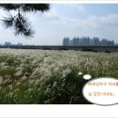 늘처음처럼 이미지