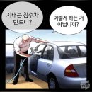비밀의화원 이미지