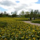 봉화산 민박 이미지