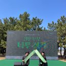 [공지] [유한킴벌리] 신혼부부 나무심기 솔직후기 및 꿀팁 1 (경쟁률 포함)