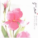 송종영 Daum카페