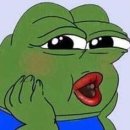 돈파카 이미지