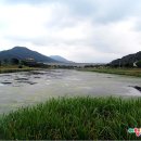 자라뫼마을 이미지