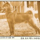 진호농장 이미지