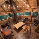 음악이흐르는숲 이미지