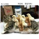 요절복통 3월 슨디