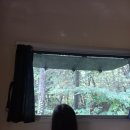 아이와 단둘이 여행 2일차(알맹이캠핑, 카라반여행, 포천카라반, 갯촌칼국시, 양주맛집)