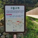 구룡달전로 이미지