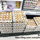 채담이네 | 2026년 복을 부르는 황금빛 간식, ‘채담 프라임 황금란’ 내돈내산 후기