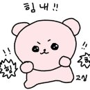 엑스오 | [팝업 정보] ASH ISLAND- xordinary