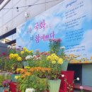 금천구 독산4동 주민센터 매일일보