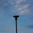 안녕동해야 이미지