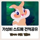 다이렉트결혼준비 본사 방문 계약 후기 &amp; 가성비 스드메 견적 공유