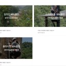 [여행플래너] 충북 여행지 계획 총정리