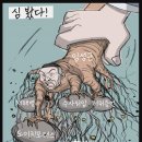 심봤다 - 제주시 고성남서길 8 | 심봤다