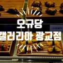 오규당갤러리아광교