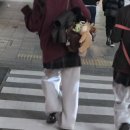 식풍경감자탕 | 29주차 태교여행-나고야/시라카와고버스투어/지브리파크/2026나고야라멘마츠리