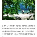 황제능이버섯 백숙 Daum카페