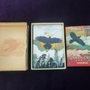 어반도그(URBAN DOG) | [어반 크로우 오라클] 소개 및 개요