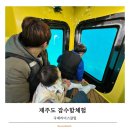 제주도 잠수함 아기도 체험 가능한 국제리더스클럽
