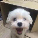 봉자빨래 이미지