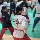 경희대 동탄중앙태권도장 이미지