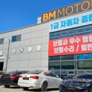 BM모터스 이미지