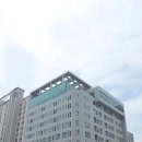 더샤인 네이버블로그
