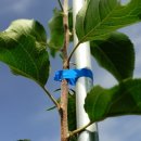 큰뜰농장 이미지