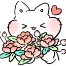 와이드링크