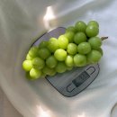 프리미엄농장 이미지