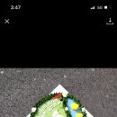 강남고망고 케이크
