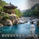 우선비