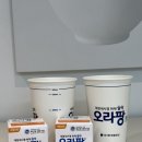 대장내시경 알약 오라팡 복용법 주의사항