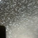 술을찾는사람들 이미지