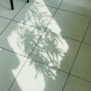 햇살로행정사 이미지