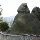 인왕산 선바위와 비둘기 이미지
