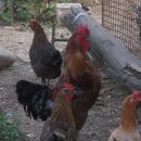 강촌힐스 이미지