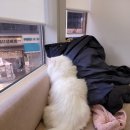 윤쌤동물병원 이미지