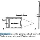 Principles of Shock Wave Therapy 이미지