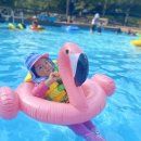 운주목장 이미지