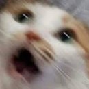 공도골프아카데미 이미지