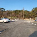 원조버섯마을 네이버블로그