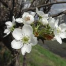 은한농장 이미지