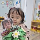 (주)풀잎소리 이미지
