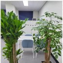 세무회계신록