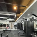 패러다임짐 이미지