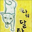 달타냥 - 서귀포시 | 달타냥
