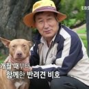 꼬리 흔드는 강아지 이미지