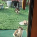 고대로41